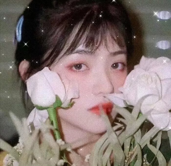 当女孩遇到熊